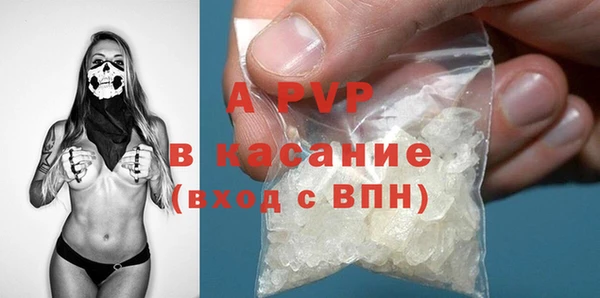 шишки Белоозёрский
