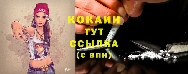 шишки Белоозёрский