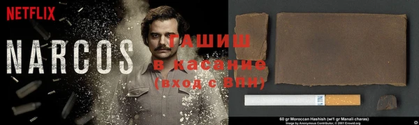 шишки Белоозёрский