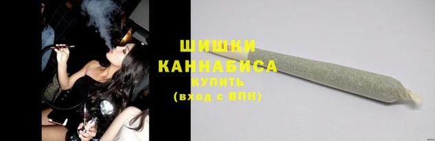 шишки Белоозёрский