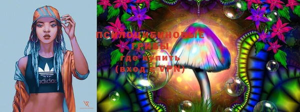 шишки Белоозёрский