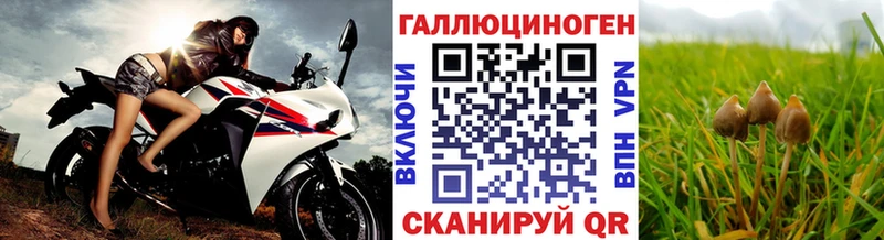Псилоцибиновые грибы прущие грибы  Бугульма 