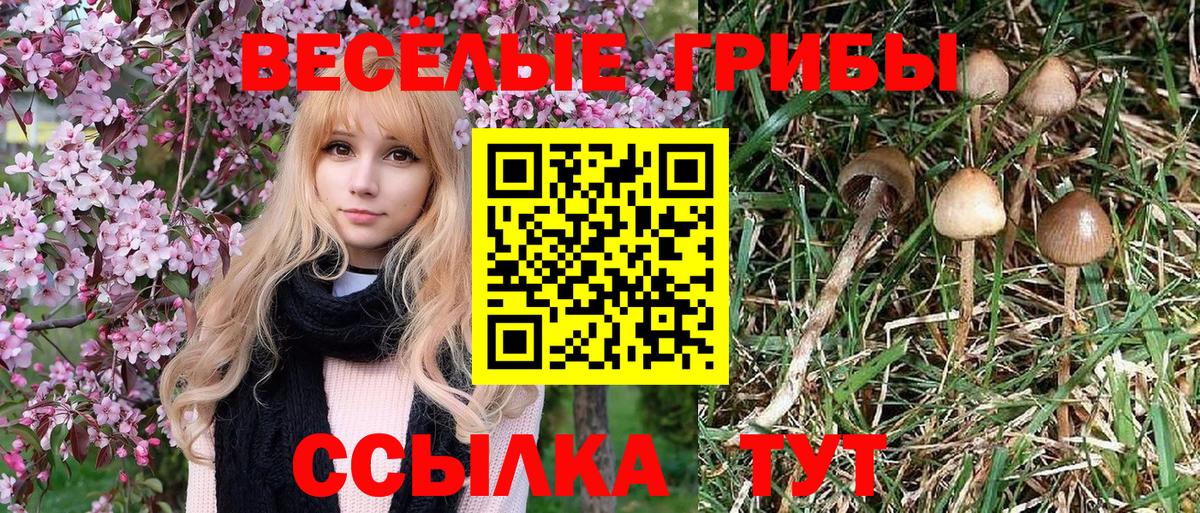 Псилоцибиновые грибы мухоморы  Вход с VPN  Бугульма 