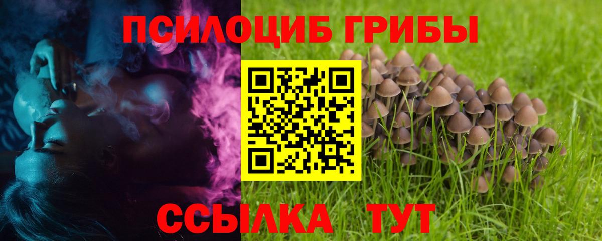 Галлюциногенные грибы MAGIC MUSHROOMS  Бугульма  купить   Галлюциногенные грибы прущие грибы 